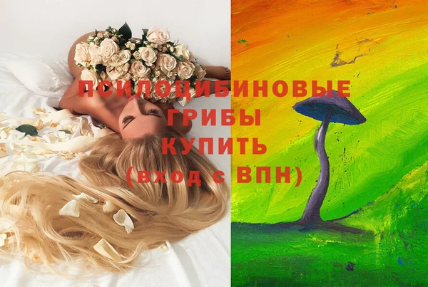 спайс Абдулино
