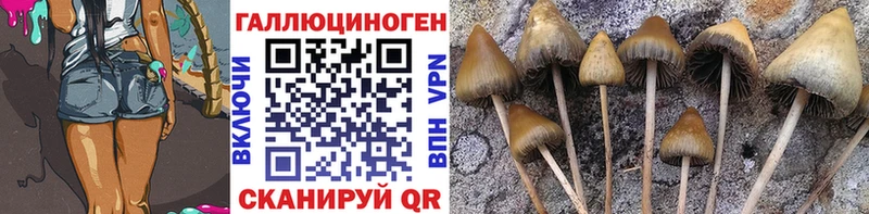 купить закладку  Игарка  Галлюциногенные грибы MAGIC MUSHROOMS 